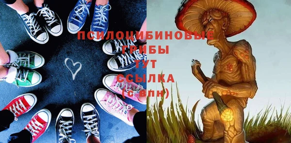 мдпв Верея