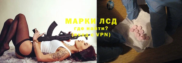 мдпв Верея
