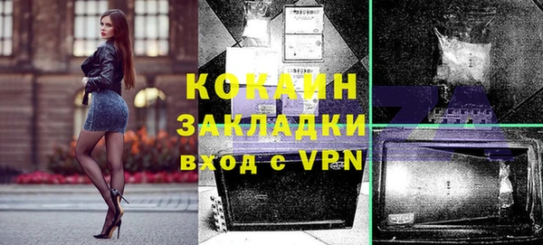 мдпв Верея