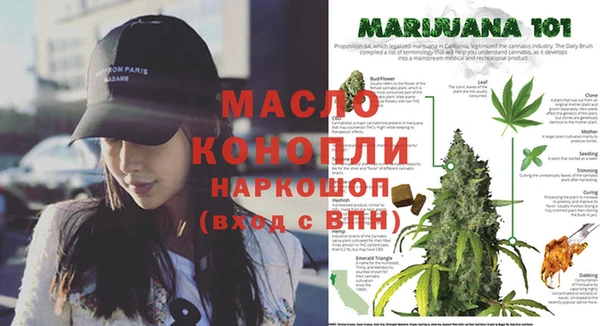 мдпв Верея
