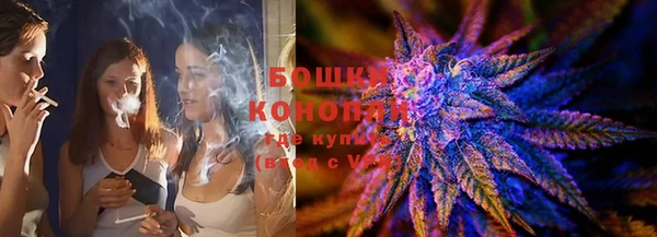 мдпв Верея