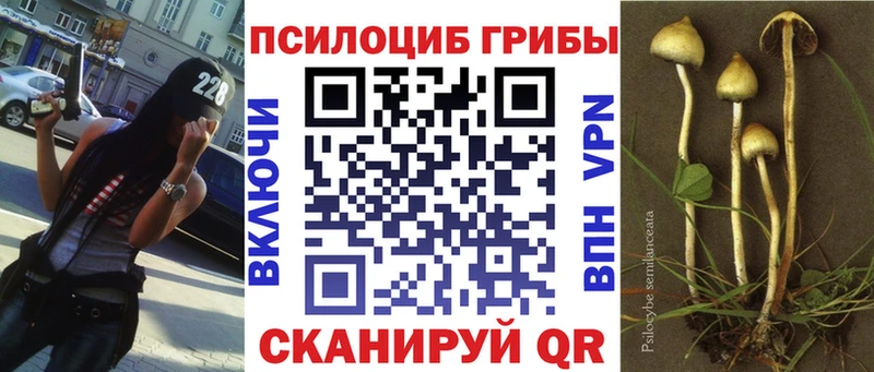 мориарти формула  где продают   mega зеркало  Вышний Волочёк  Галлюциногенные грибы Cubensis 