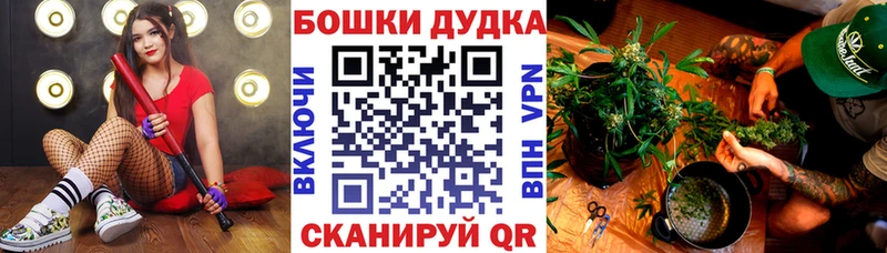 Бошки Шишки Bruce Banner  Вышний Волочёк 